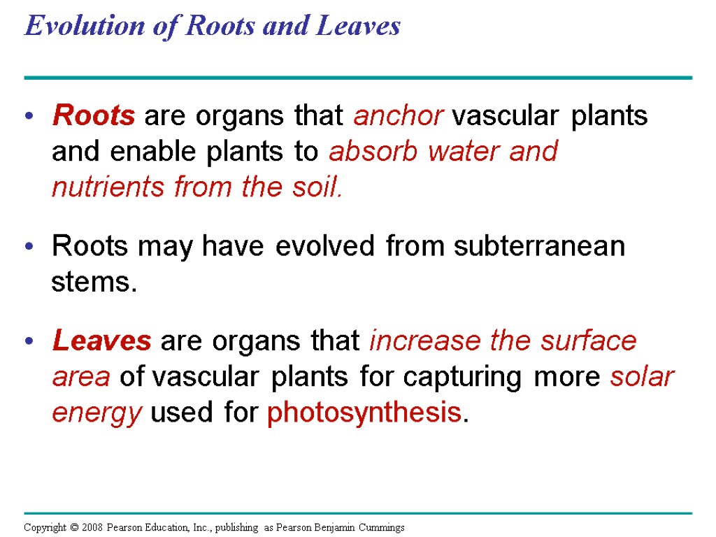 Evolution of Roots and Leaves Roots are organs that anchor vascular plants and enable